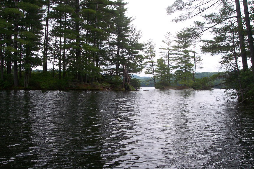 Grafton Pond