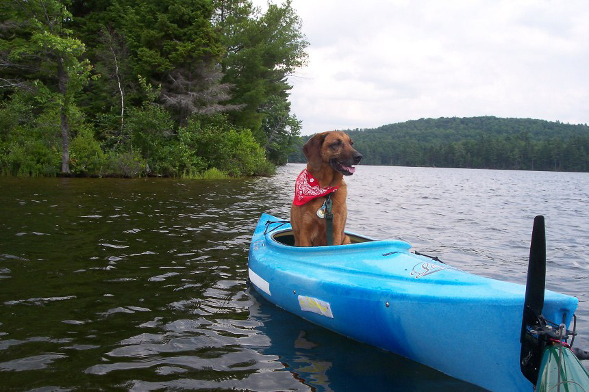 Grafton Pond