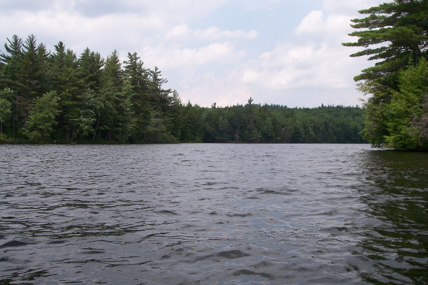 Grafton Pond