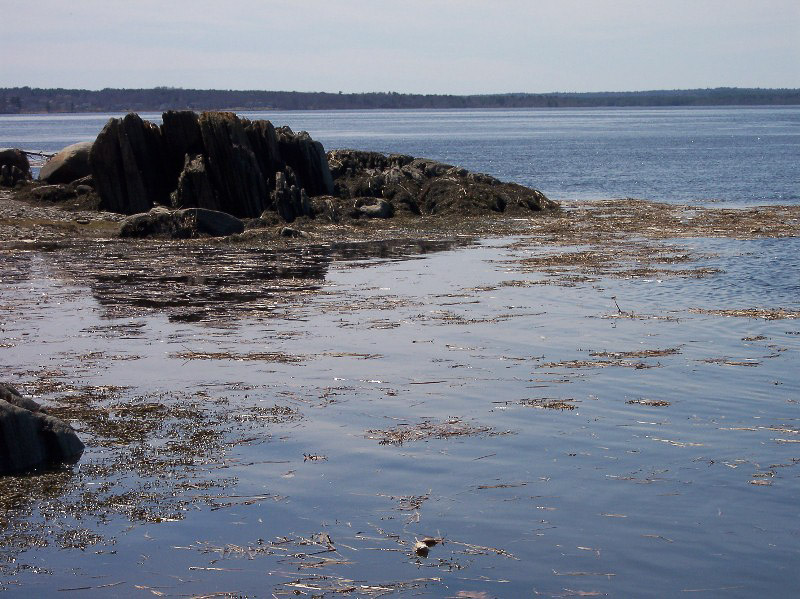 Great Bay New Hampshire