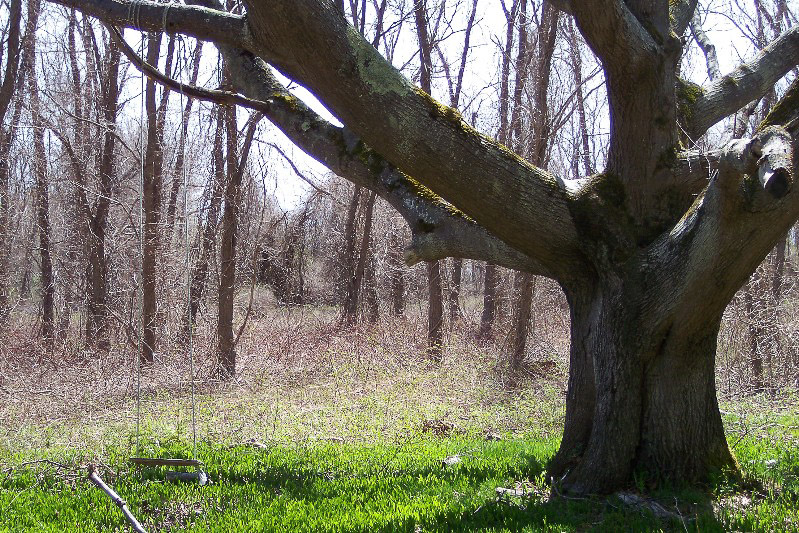 Little Chebeague Island