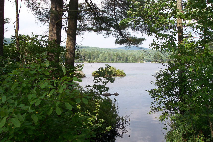 Pillsbury State Park New Hampshire