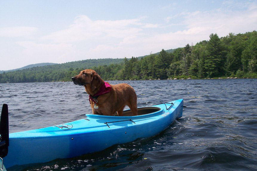 Pillsbury State Park New Hampshire