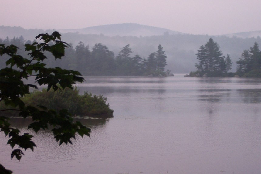 Pillsbury State Park New Hampshire